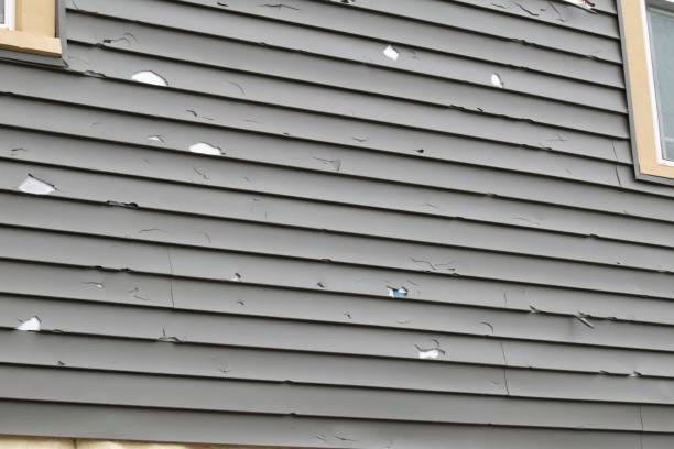 Best Siding Removal and Disposal  in Vergennes, VT