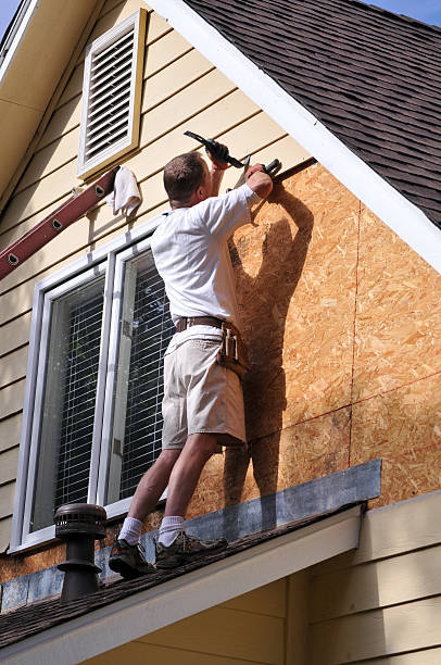 Best Siding Painting and Refinishing  in Vergennes, VT